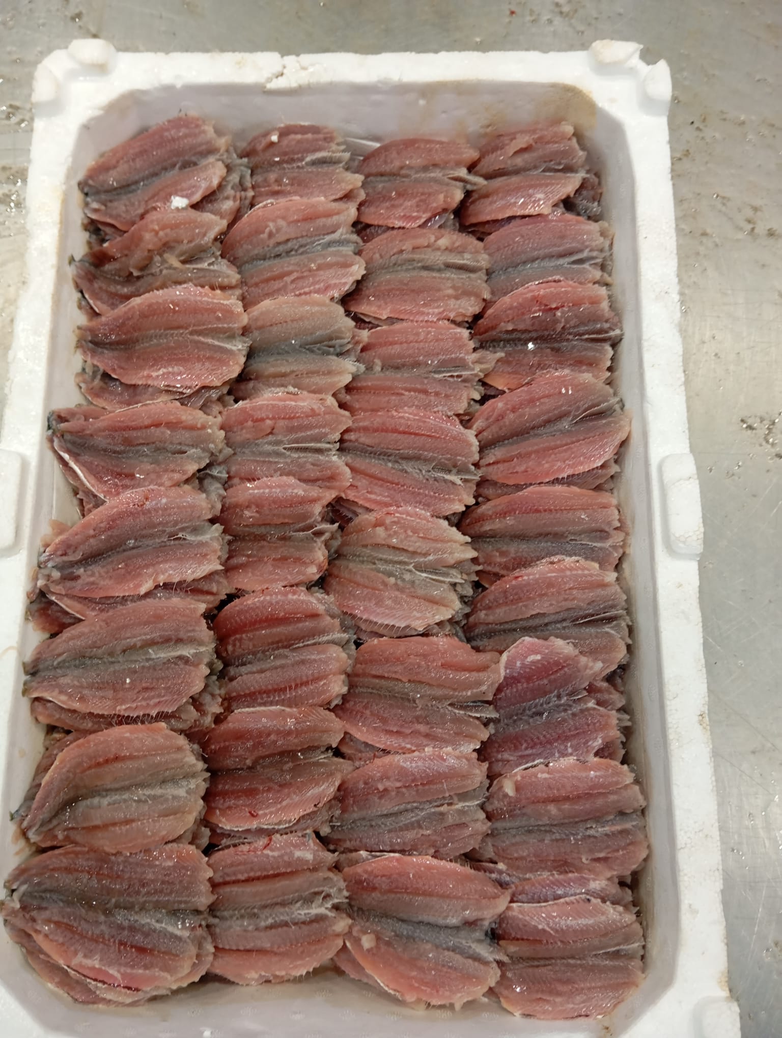 Okyanus Balıkçılık 